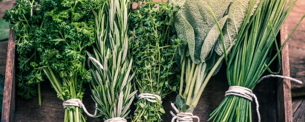 close view on fresh herbs bunch