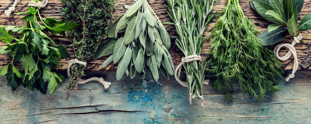 fresh herbs on wooden background with space for text