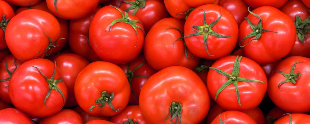 Delicious red tomatoes in Summer tray market agriculture farm full of organic. Fresh tomatoes, It can be used as background