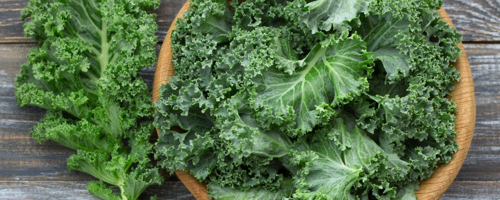 Fresh green curly kale leaves on a wooden table. selective focus. rustic style. healthy vegetarian food