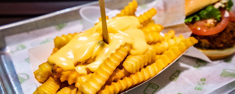 Famous hamburger of Eastern america, USA