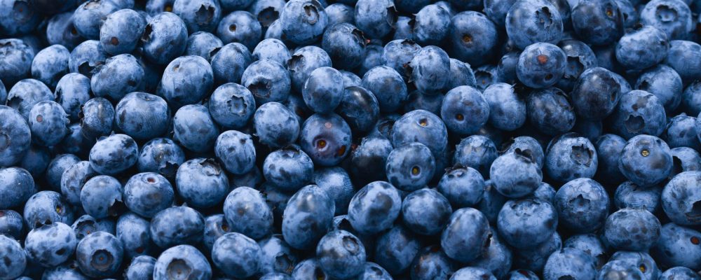 Fresh blueberry background. Texture blueberry berries close up.