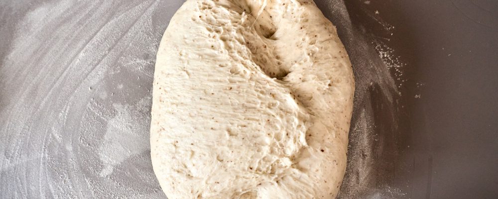 dough of rye bread