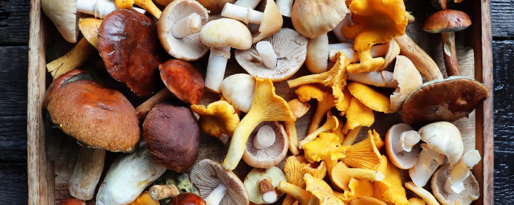 Box of fresh mixed forest mushrooms on wooden table .