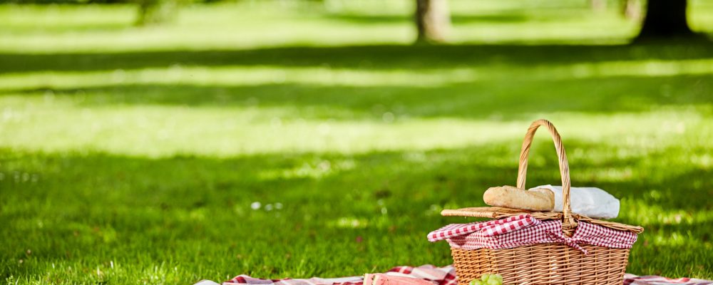 Delicious picnic spread with fresh fruit, bread, spicy sausage and cheese spread out on a red and white checkered cloth in a lush spring park